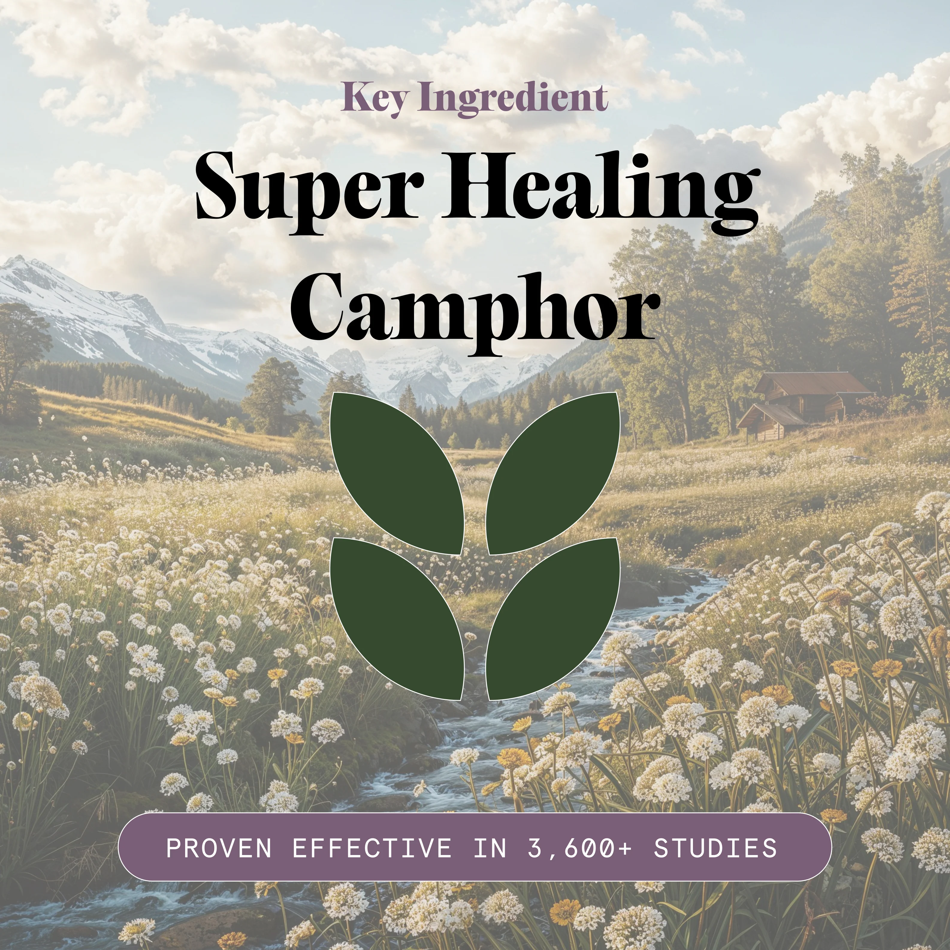 Joint & Muscle Healing Balm - Image 12