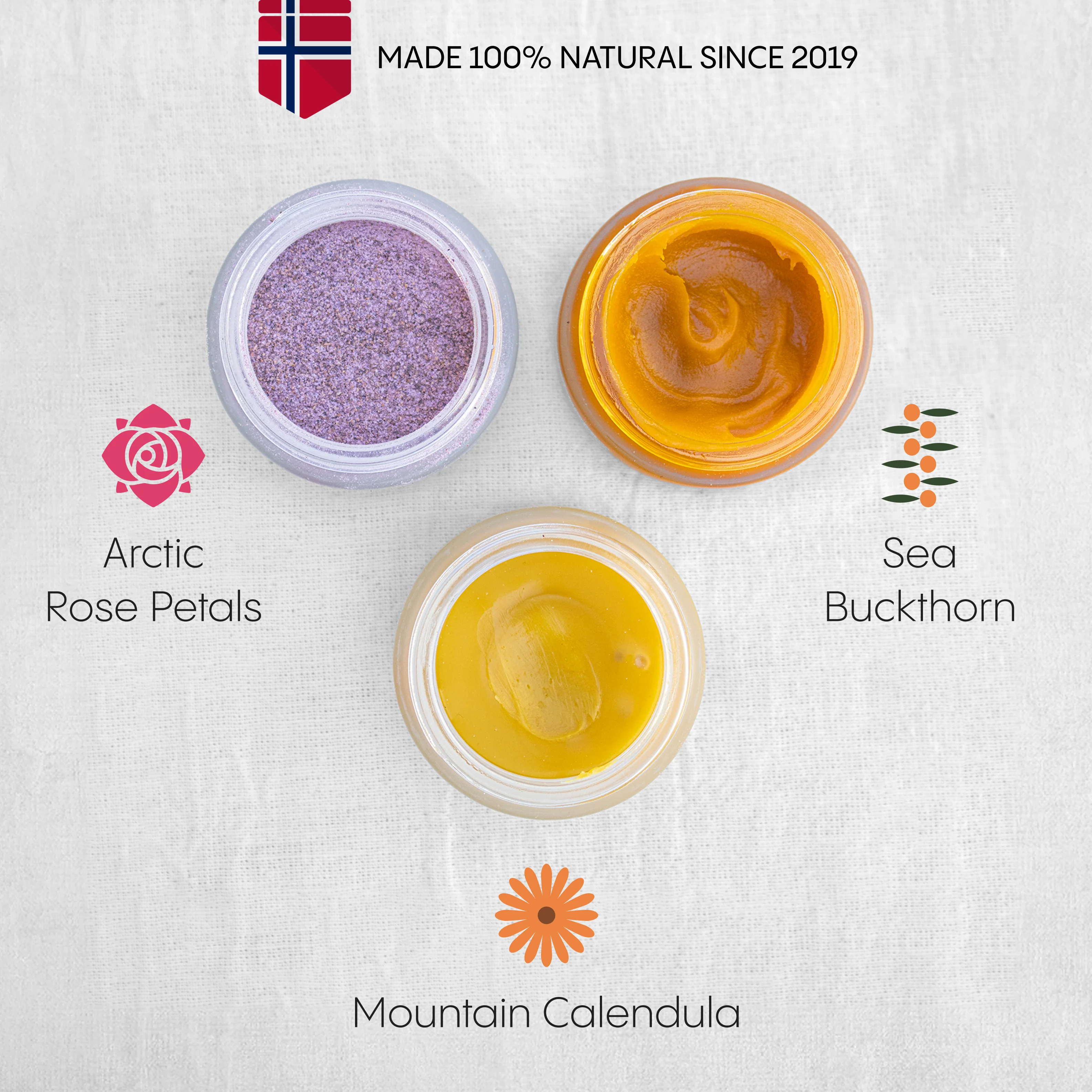 The Complete Acne System for Women - Image 8