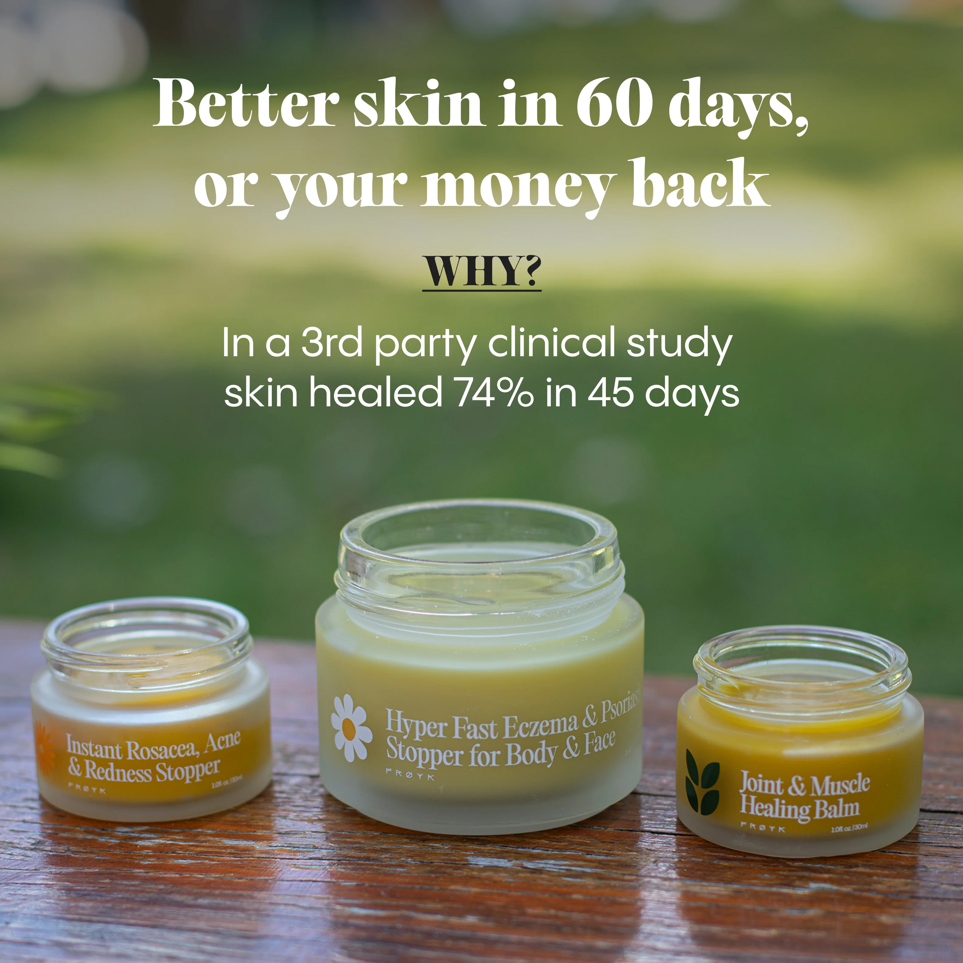 The Complete Natural Pharmacy for Face & Body - Image 13