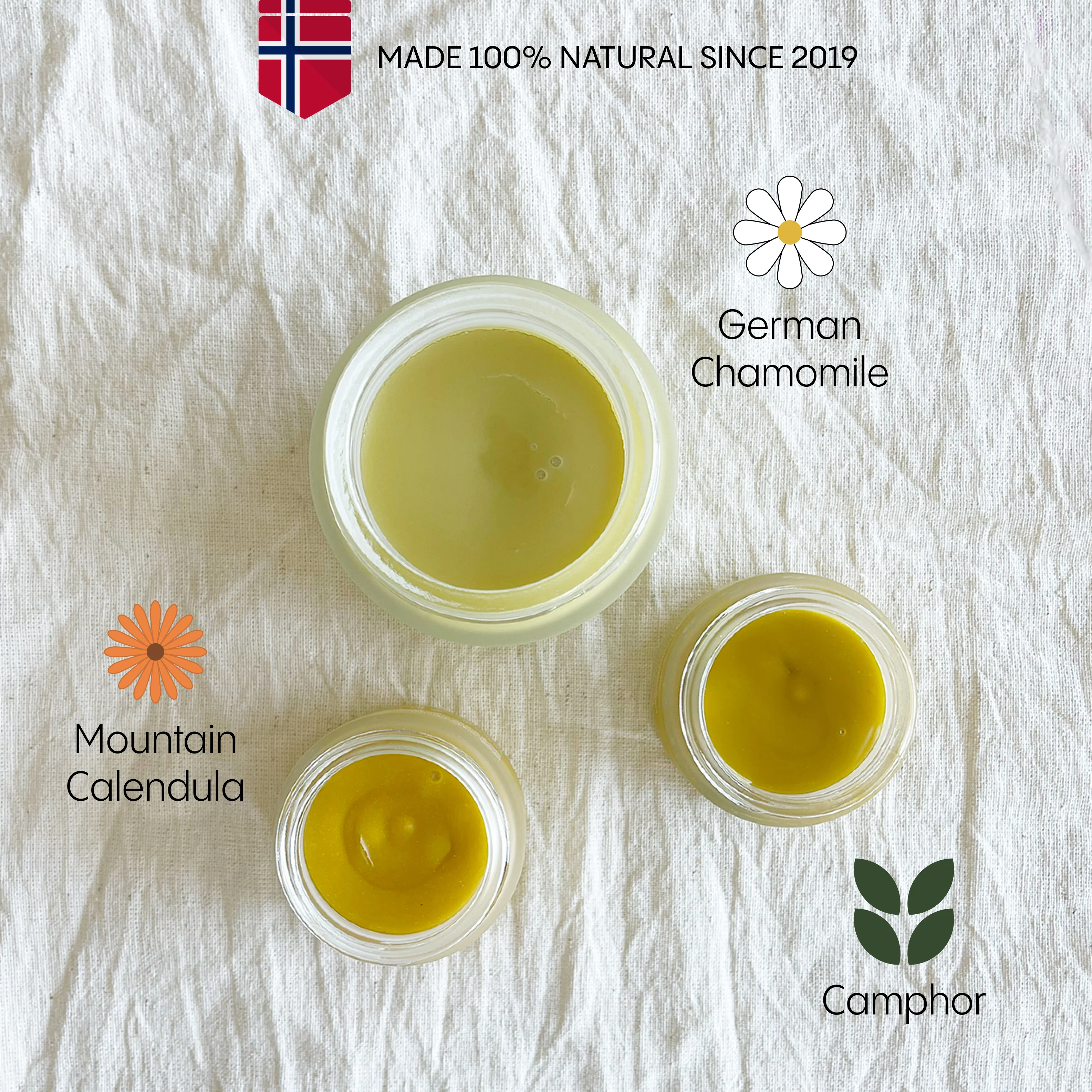 The Complete Natural Pharmacy for Face & Body - Image 5